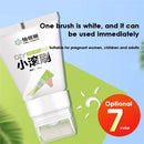 TINTA DE PAREDE  REPARO EXPRESSO DO MISTER